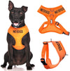 No Dogs Vest Harness