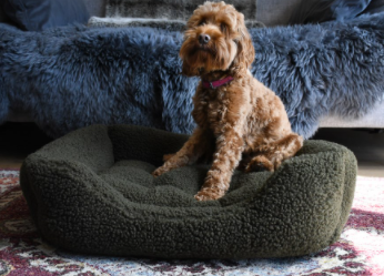 Rosewood orthopedic dog outlet bed