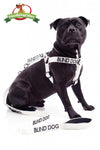 Blind Dog Strap Harness