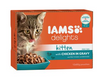 IAMS Delights Cat Wet Kitten Gravy 12x85g