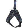 Hemmo Country Check Blue / Grey Harness
