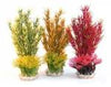 Rosewood Assorted Plants Ornament
