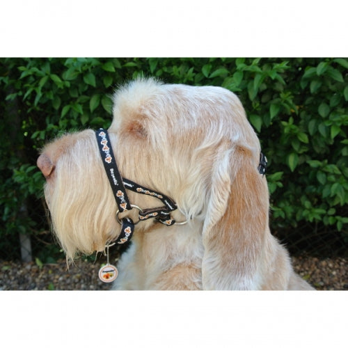 Dogmatic dog outlet collar