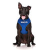 Service Dog Vest Harness