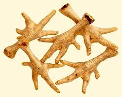 Chickens Feet
