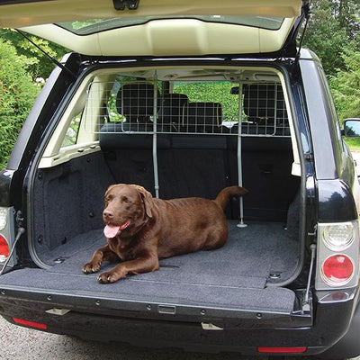 Rosewood Dog Car Guard