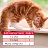Beaphar Wormclear Spot On For Cats