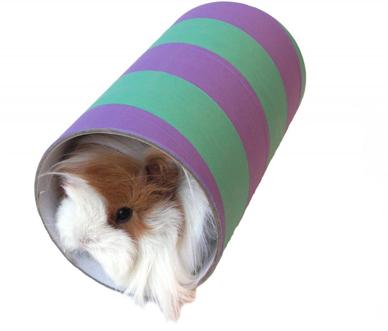 Rosewood Boredom Breaker Guinea Pig Tube Large
