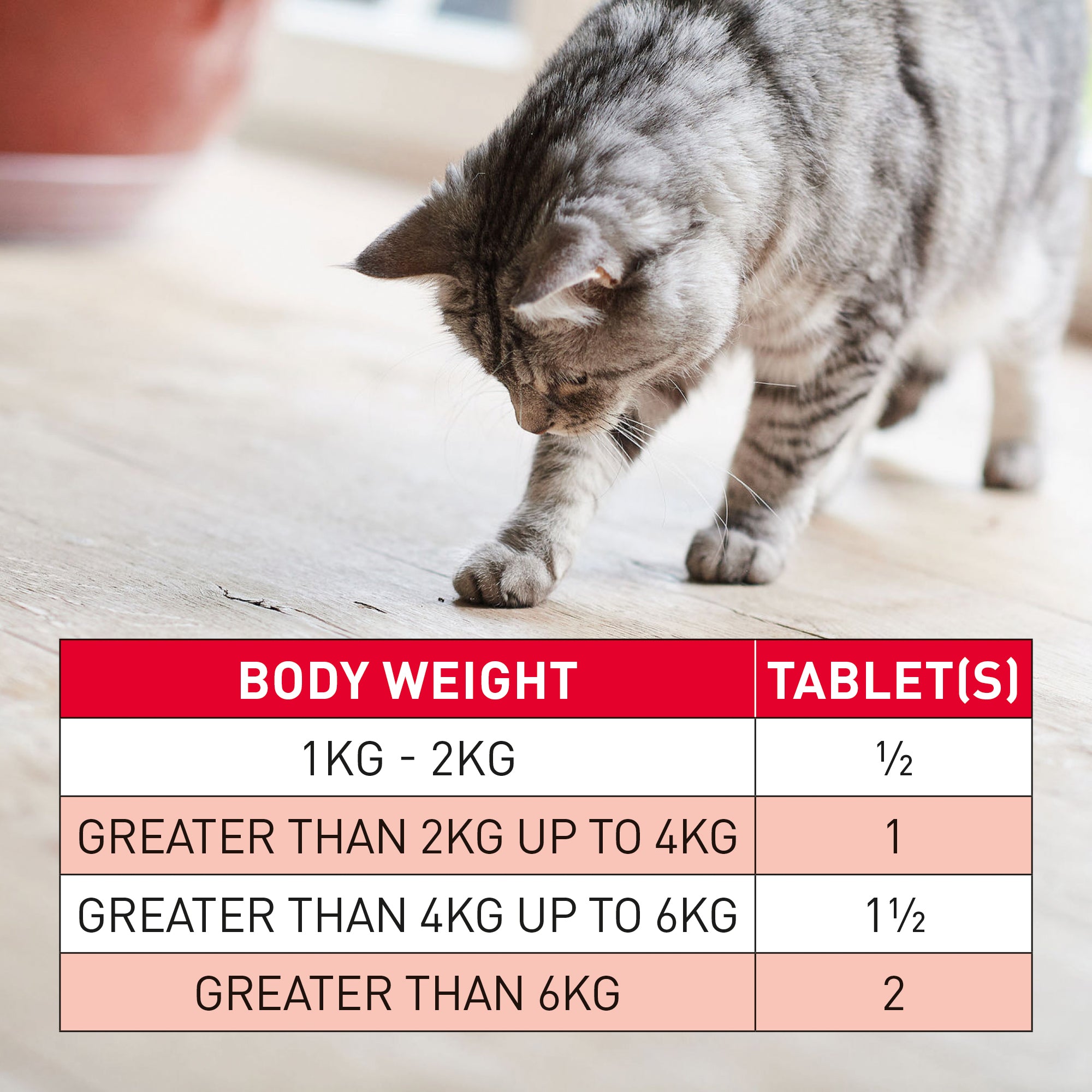 Beaphar Wormclear Cats 4 Tablets