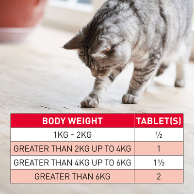 Beaphar Wormclear Cats 4 Tablets