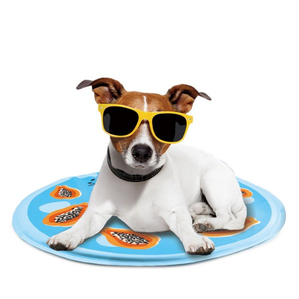 All For Paws Chill Out Papaya Cooling Mat