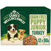 James Wellbeloved Grain Free Puppy Turkey Gravy Pouch 12x90g
