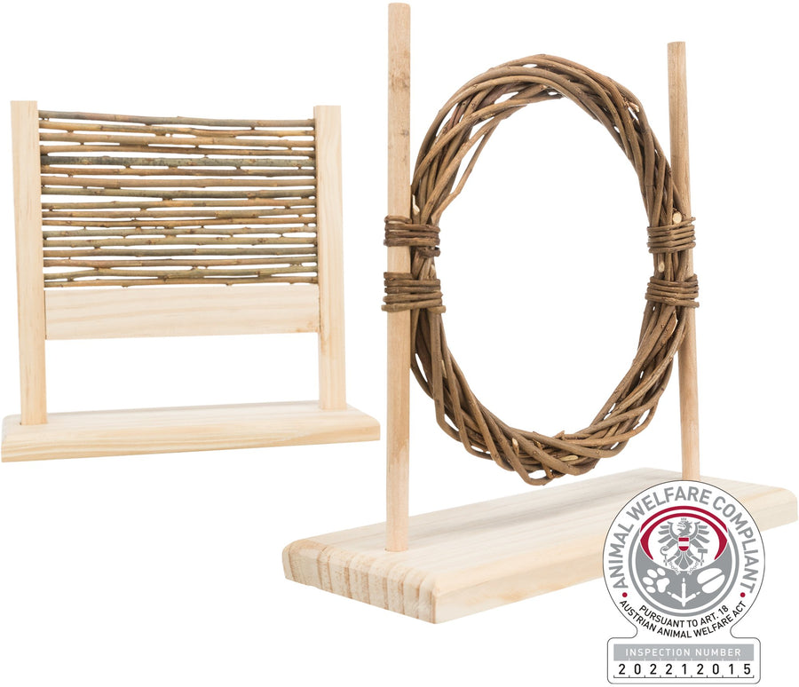 Agility Set With Ring & Obstacle 28 X 26 X 12cm