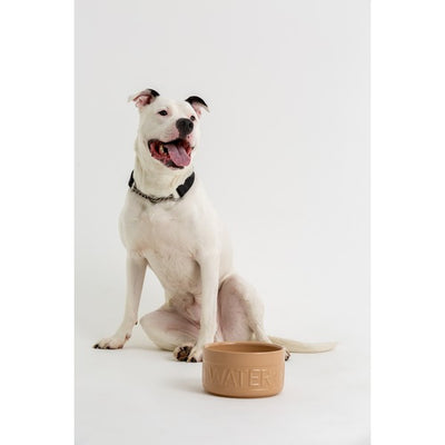 Mason Cash Water Bowl Cane 8 Inch