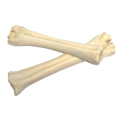 Calcium Bone