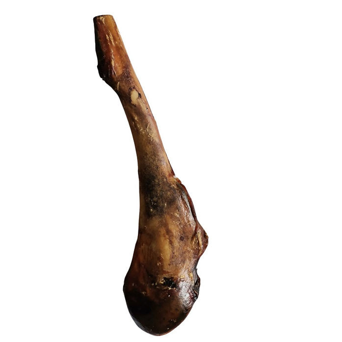 Ostrich Drumstick