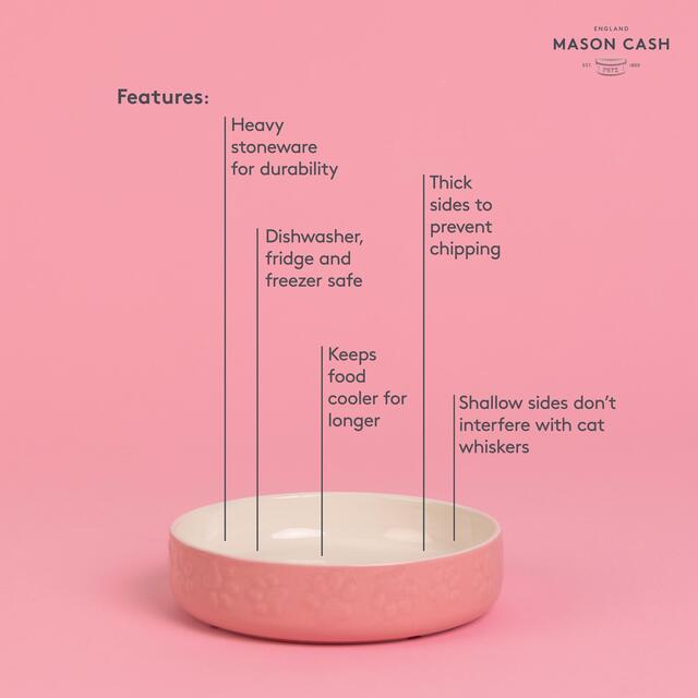 Mason Cash Colour Mix Pink Cat Saucer 13cm