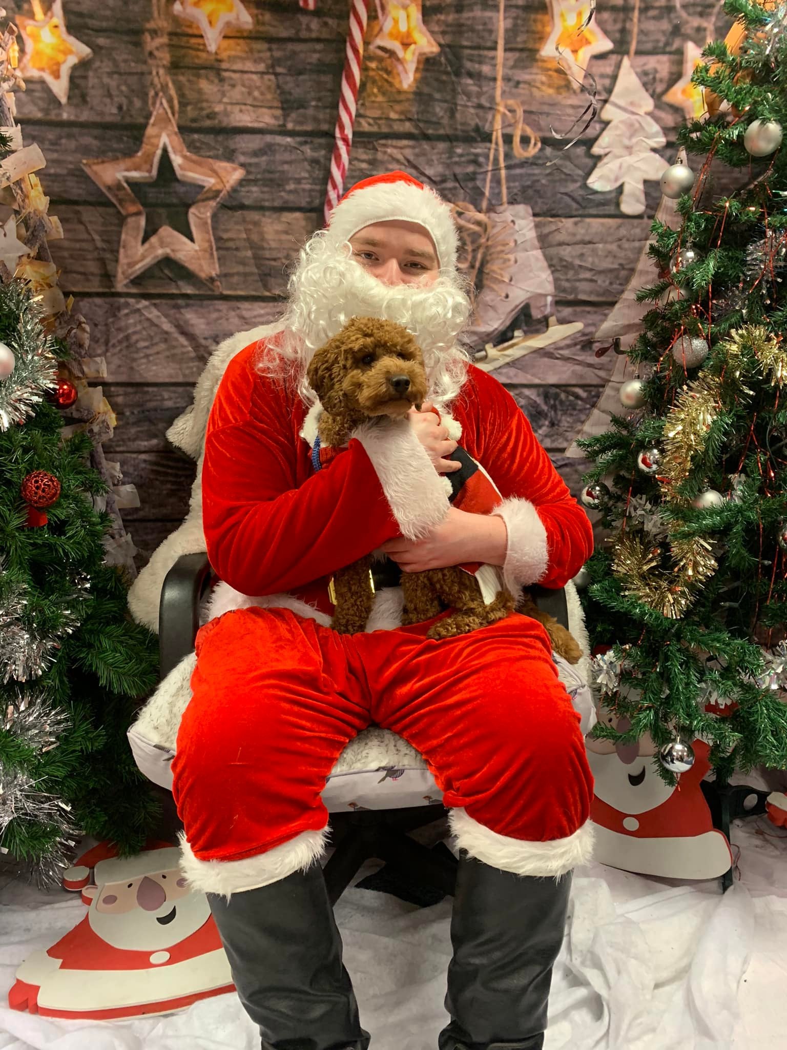 TEAM VALLEY: Santa Paws Grotto