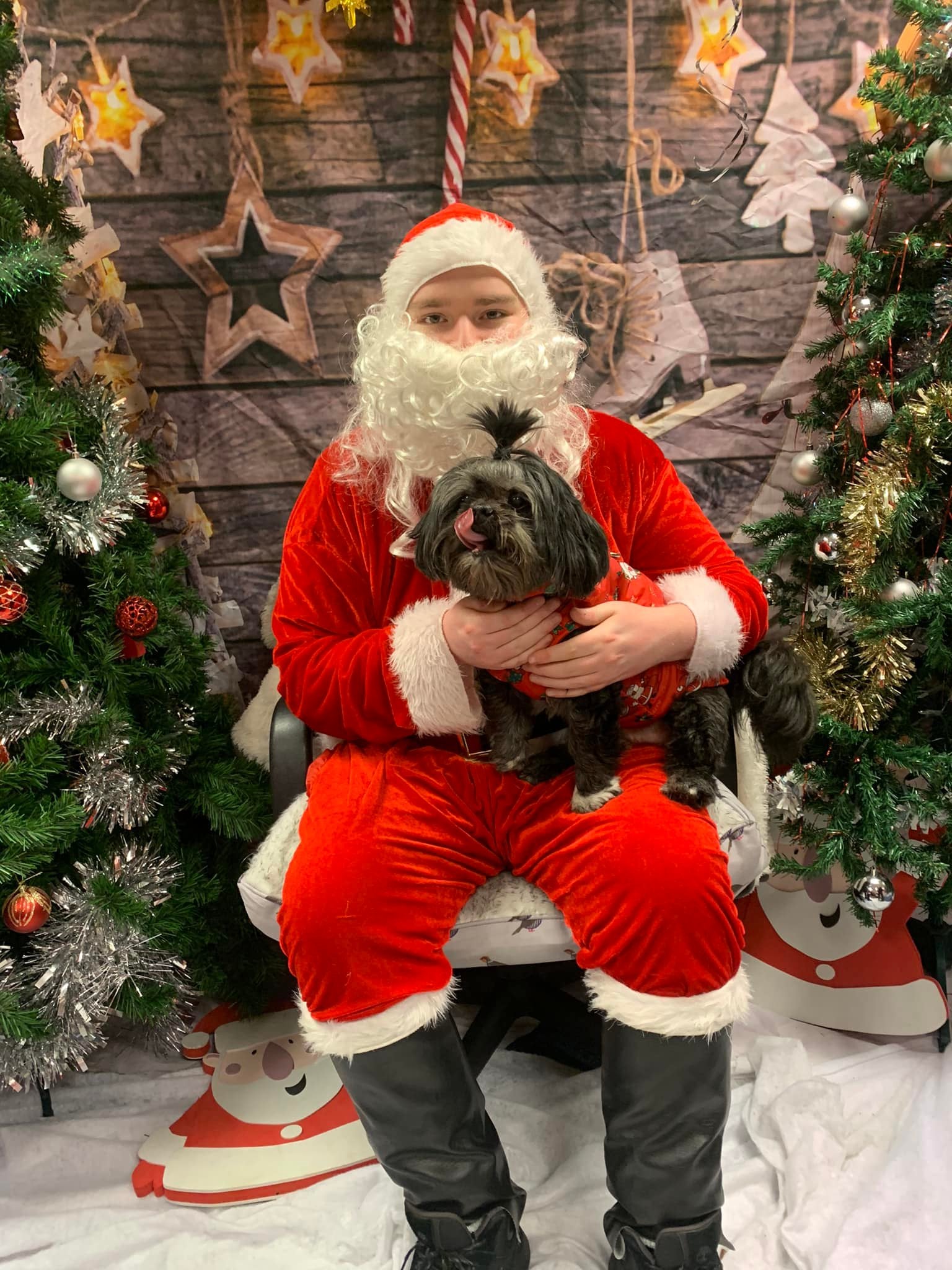 TEAM VALLEY: Santa Paws Grotto
