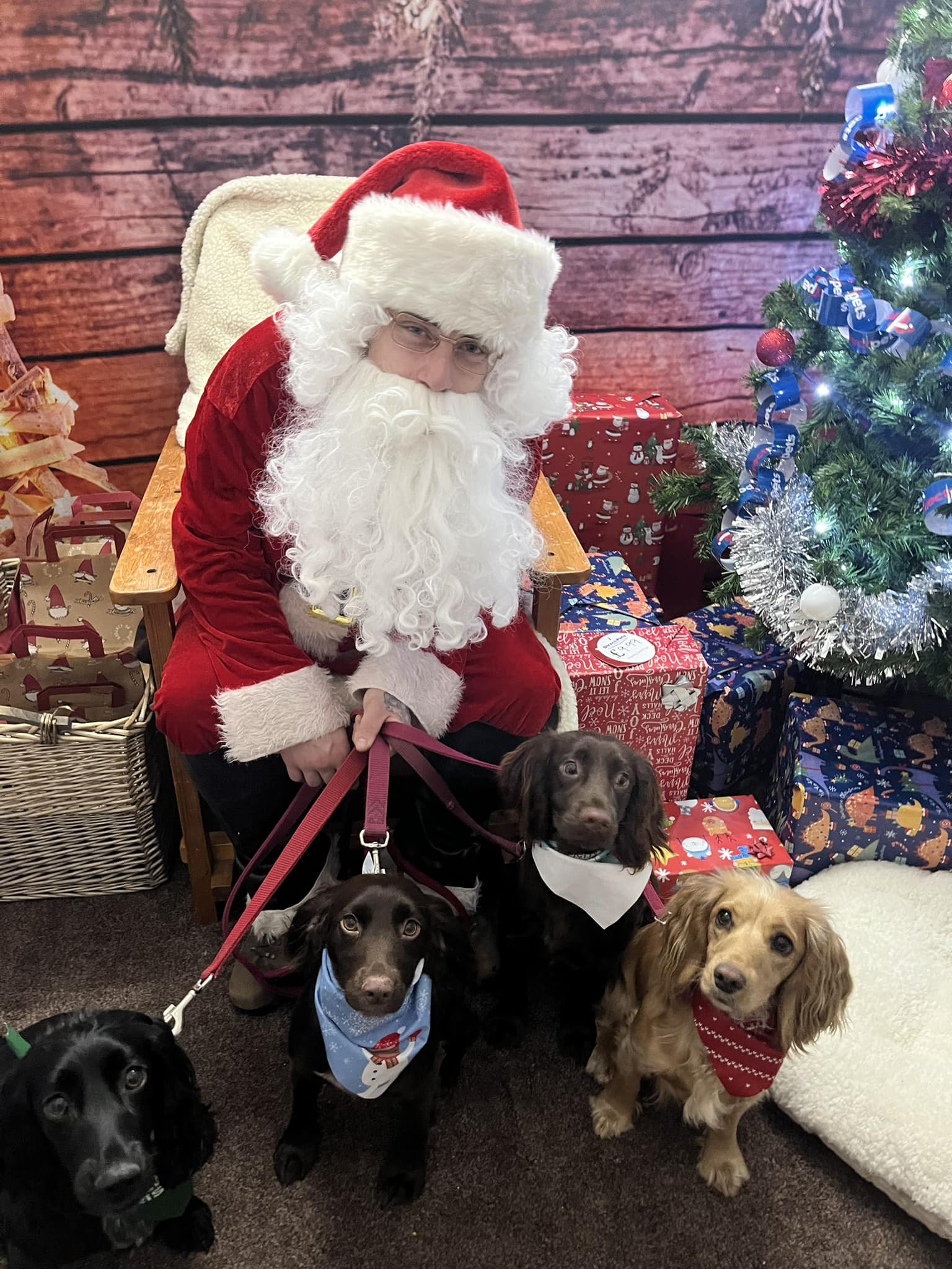 BERWICK: Santa Paws Grotto