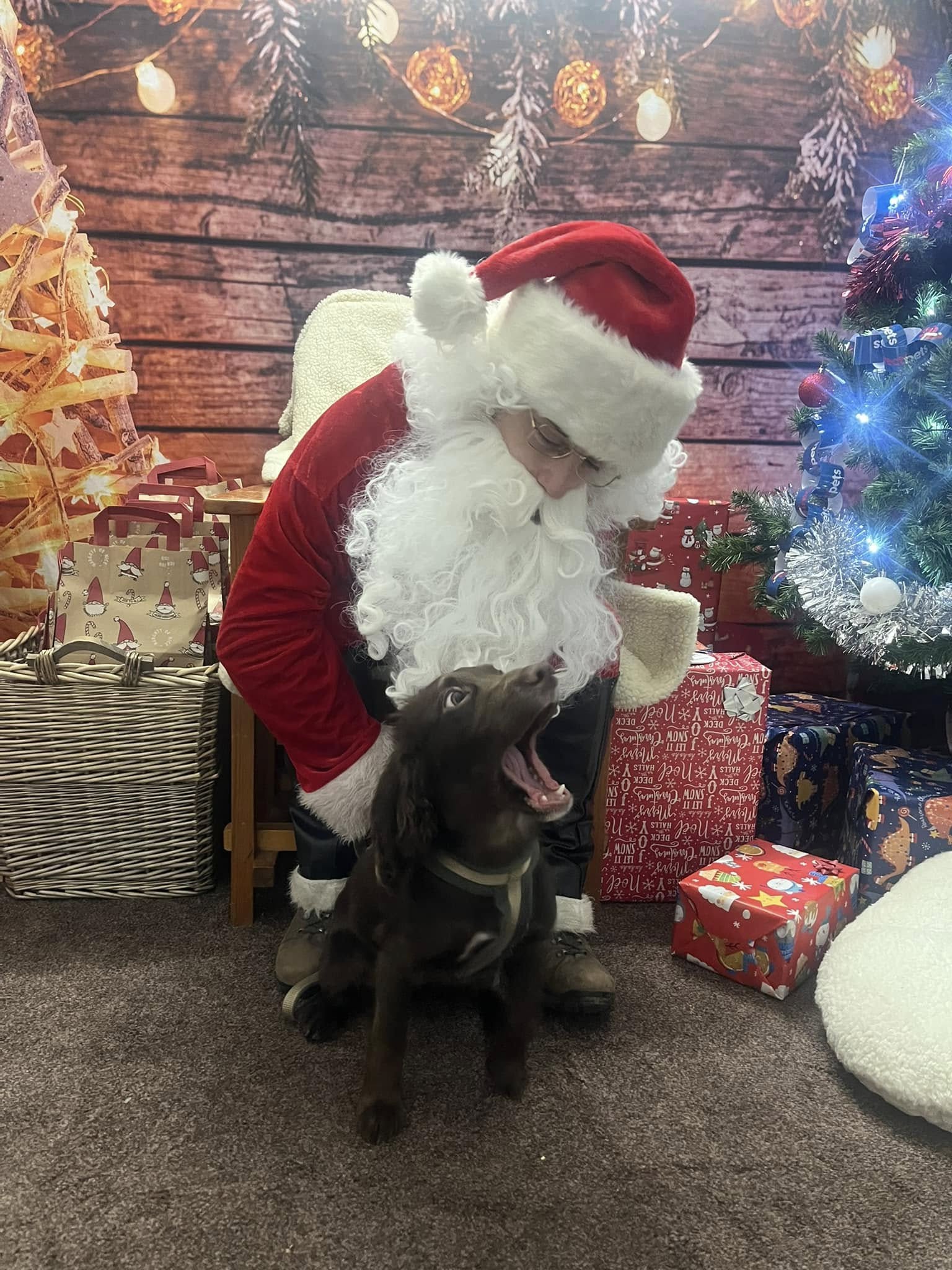 BERWICK: Santa Paws Grotto