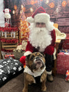 BERWICK: Santa Paws Grotto