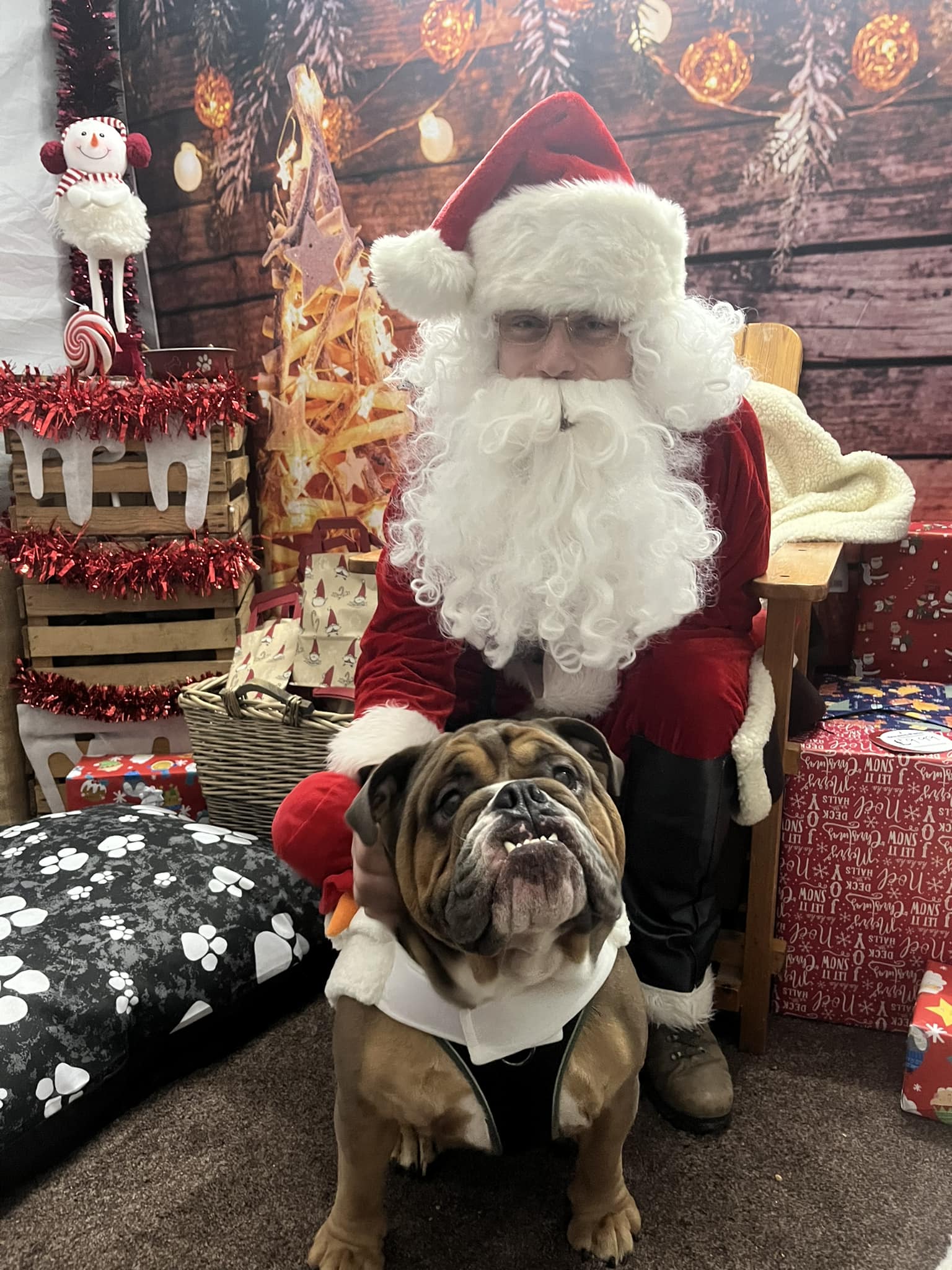 BERWICK: Santa Paws Grotto