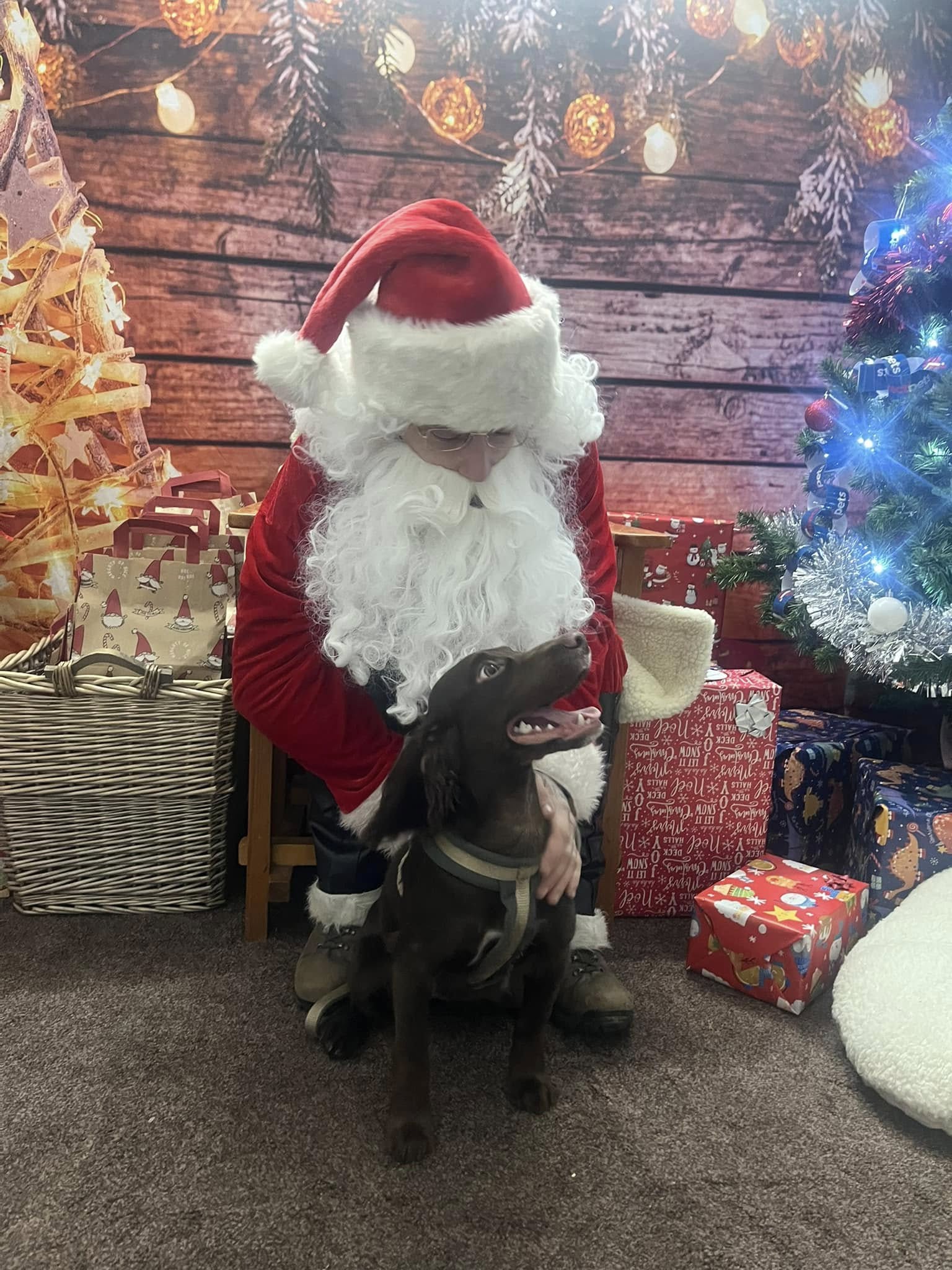 BERWICK: Santa Paws Grotto