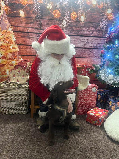 BERWICK: Santa Paws Grotto