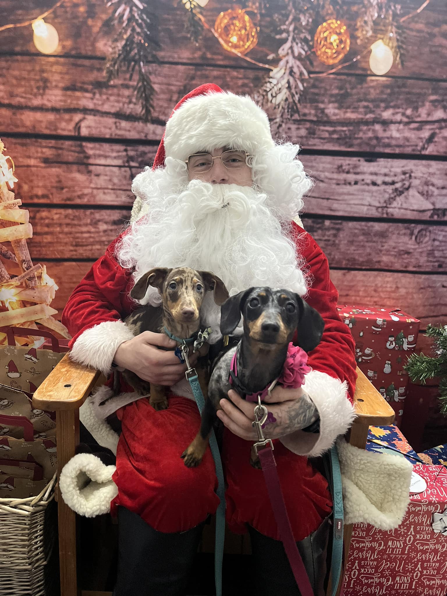 BERWICK: Santa Paws Grotto