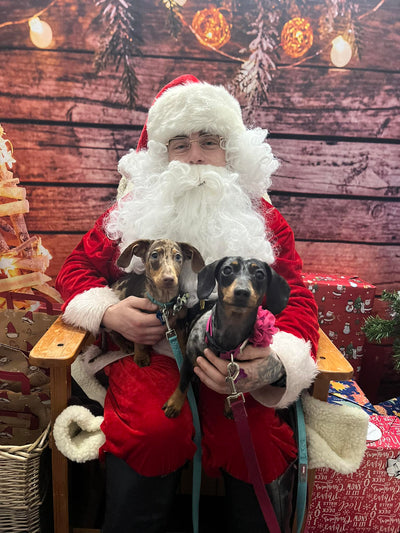 BERWICK: Santa Paws Grotto