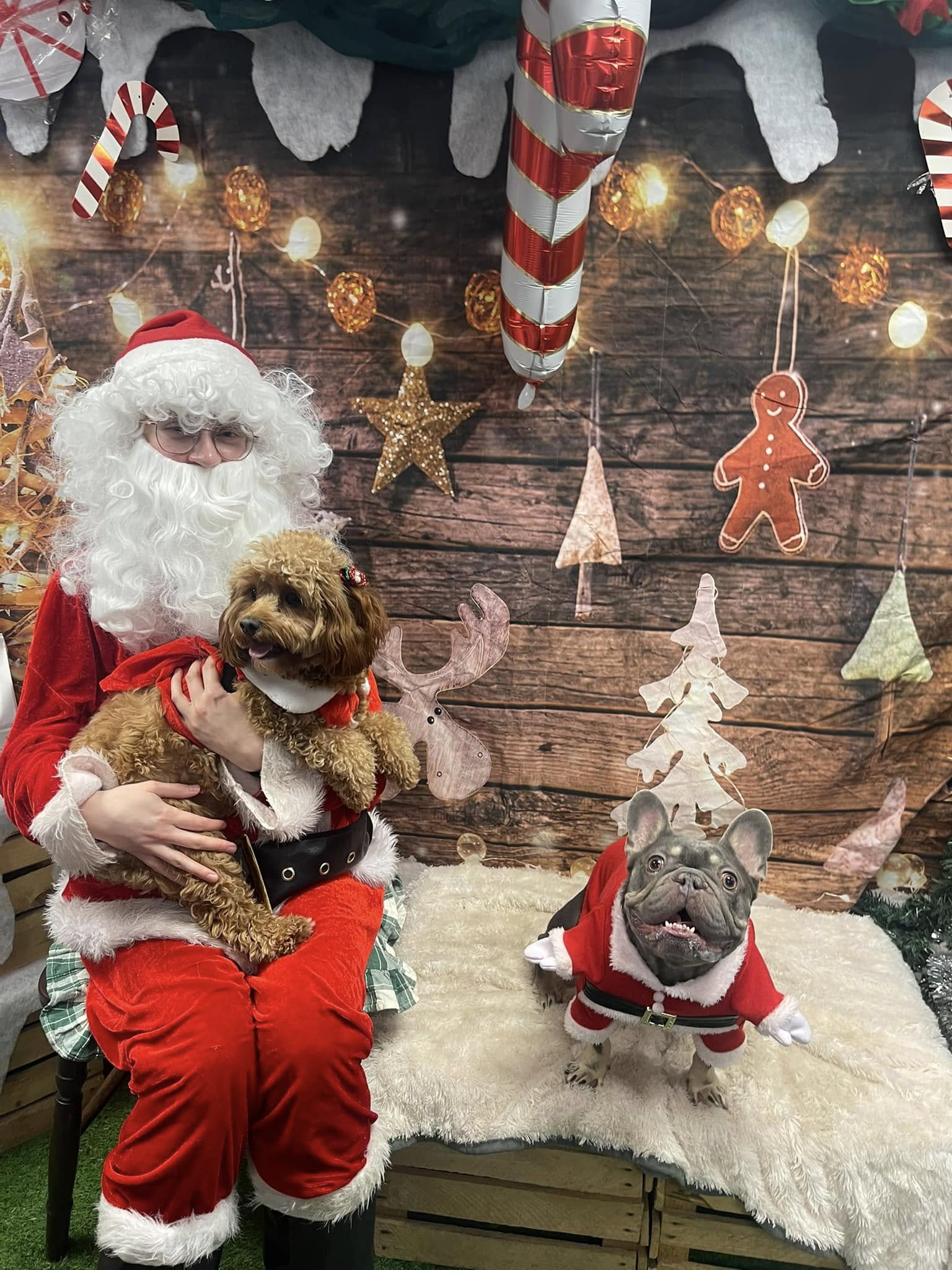TEAM VALLEY: Santa Paws Grotto