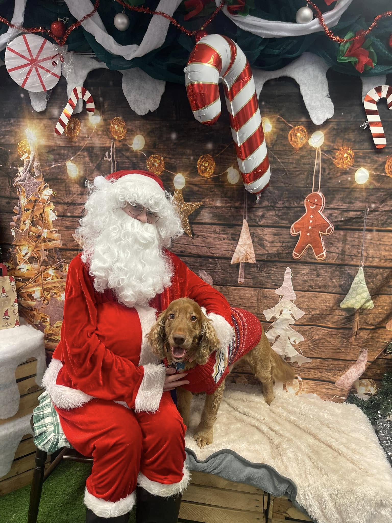 TEAM VALLEY: Santa Paws Grotto