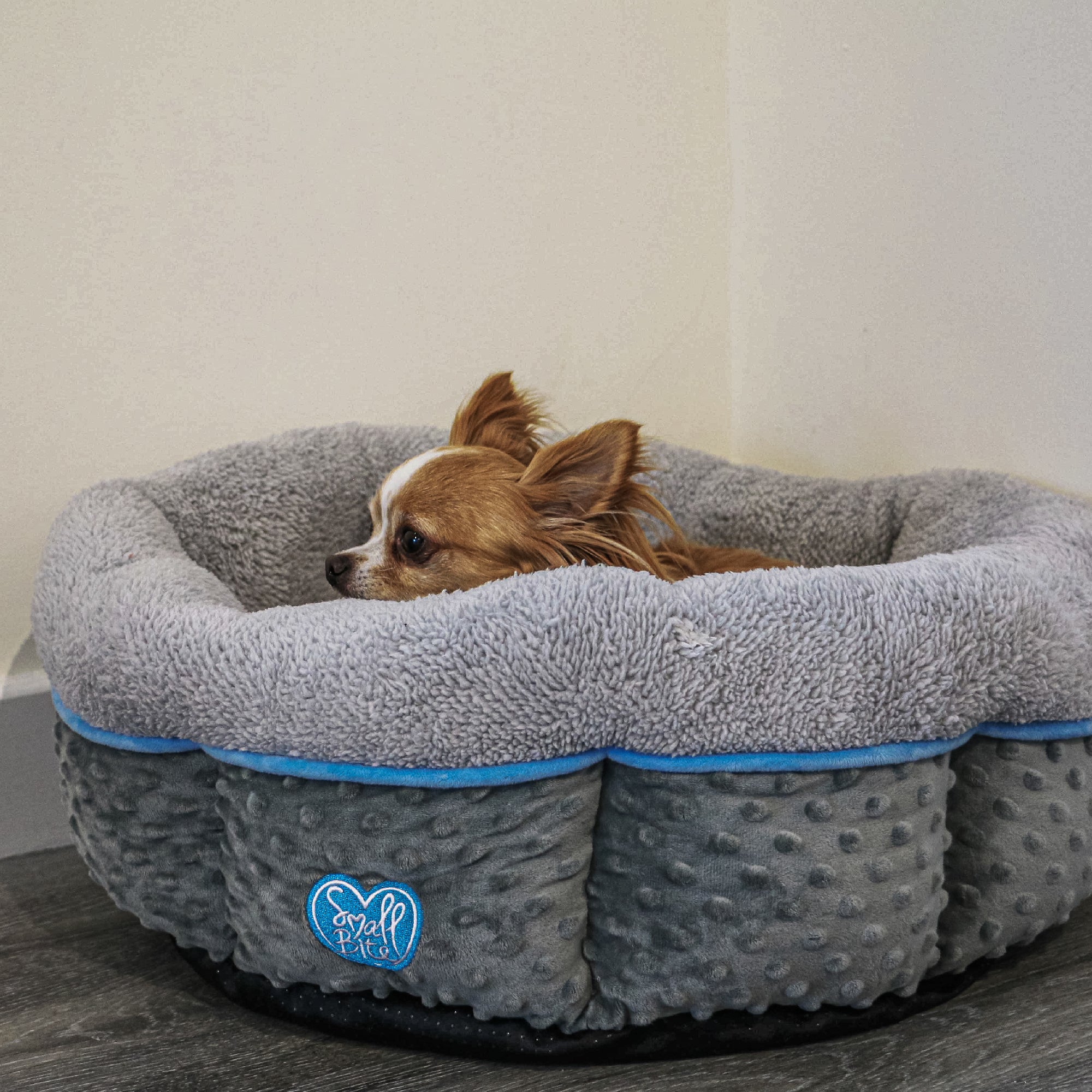 Small Bite Donut Bed 50x50cm Blue