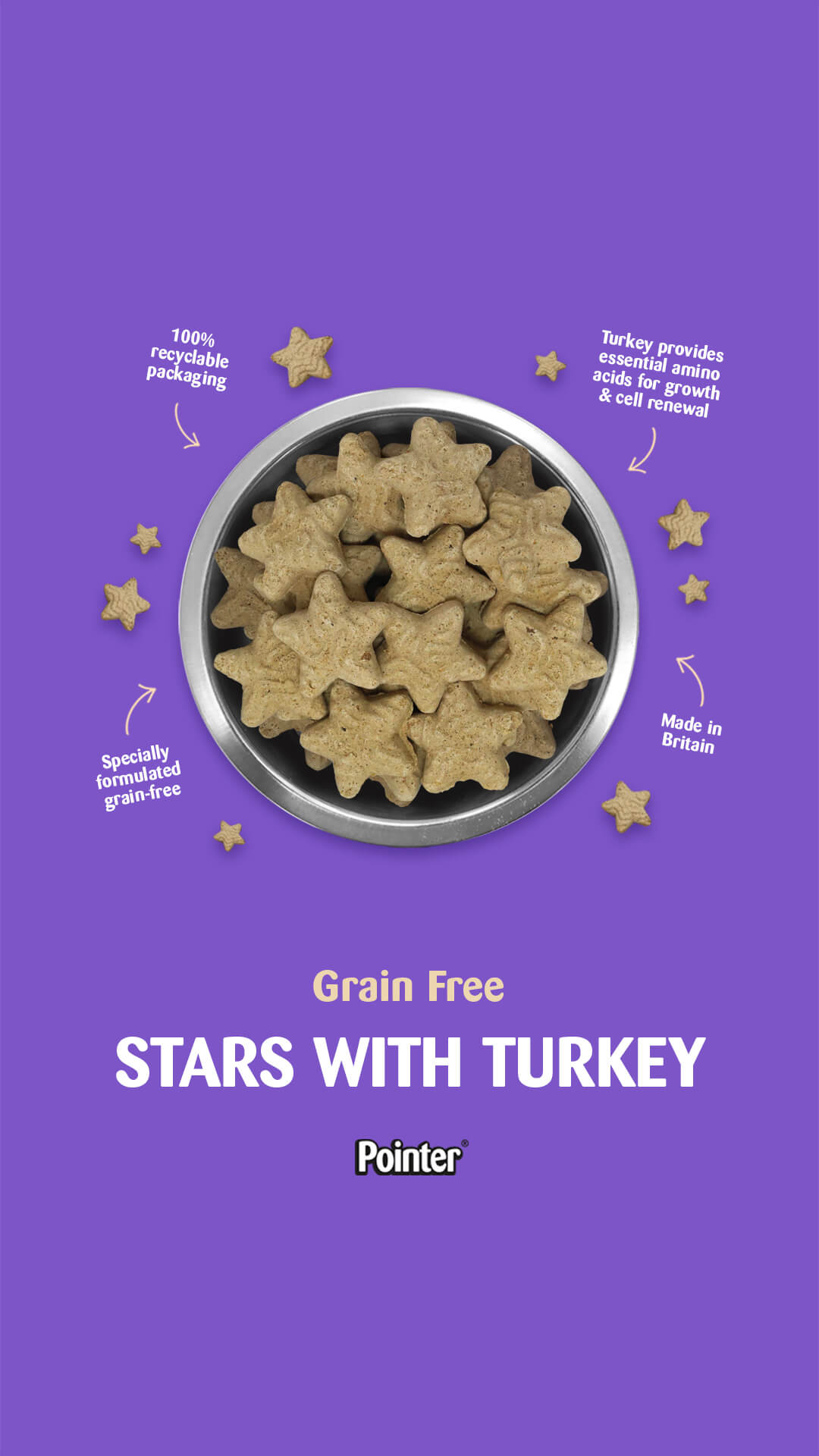 Pointer Stars with Turkey 10kg