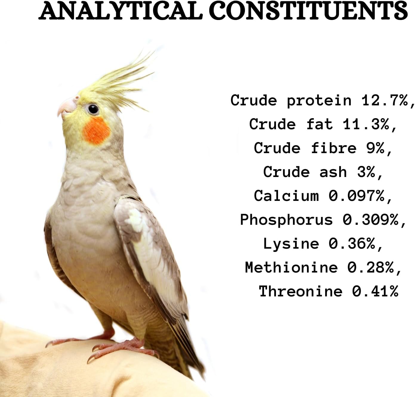 Prestige Big Parakeet 1kg