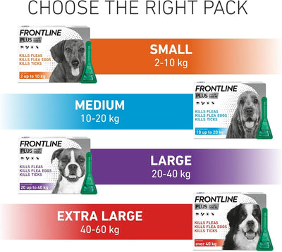 Frontline Plus Medium dog 3 Pipettes