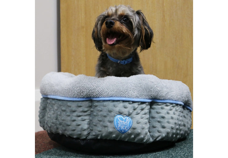 Small Bite Donut Bed 50x50cm Blue