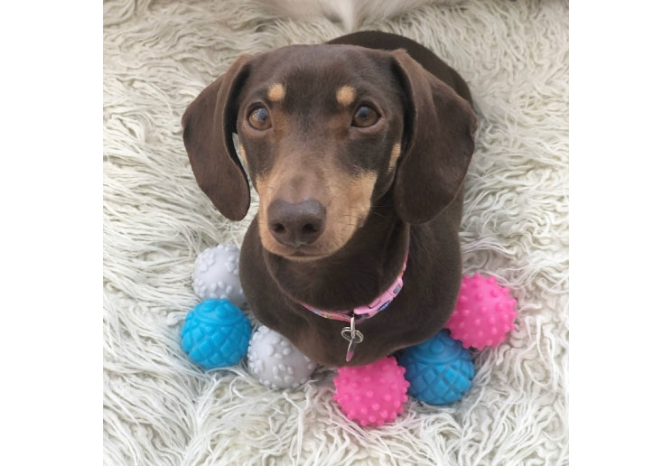 Small Bite Vinyl Balls Small 6 Pack