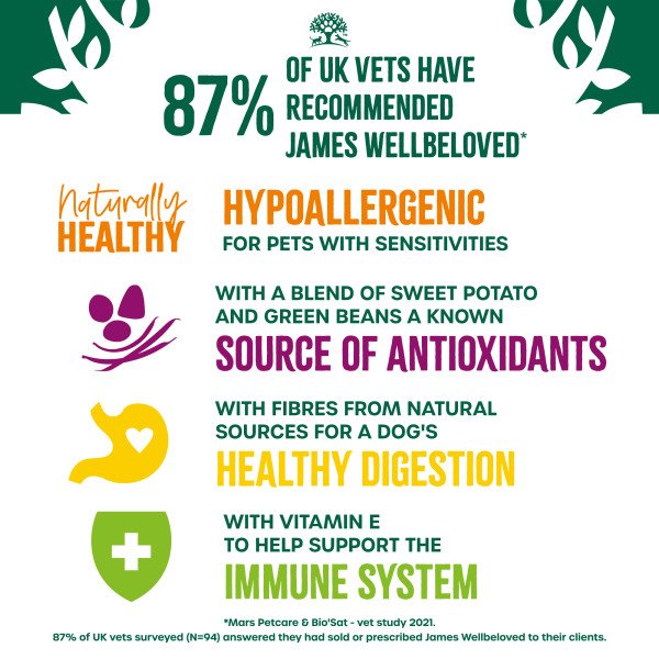 James Wellbeloved Superfood Adult Turkey in Gravy Pouch 12x90g