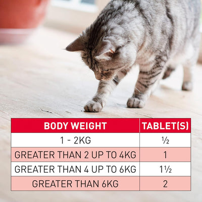 WORMclear Tablets for Cats and Kittens