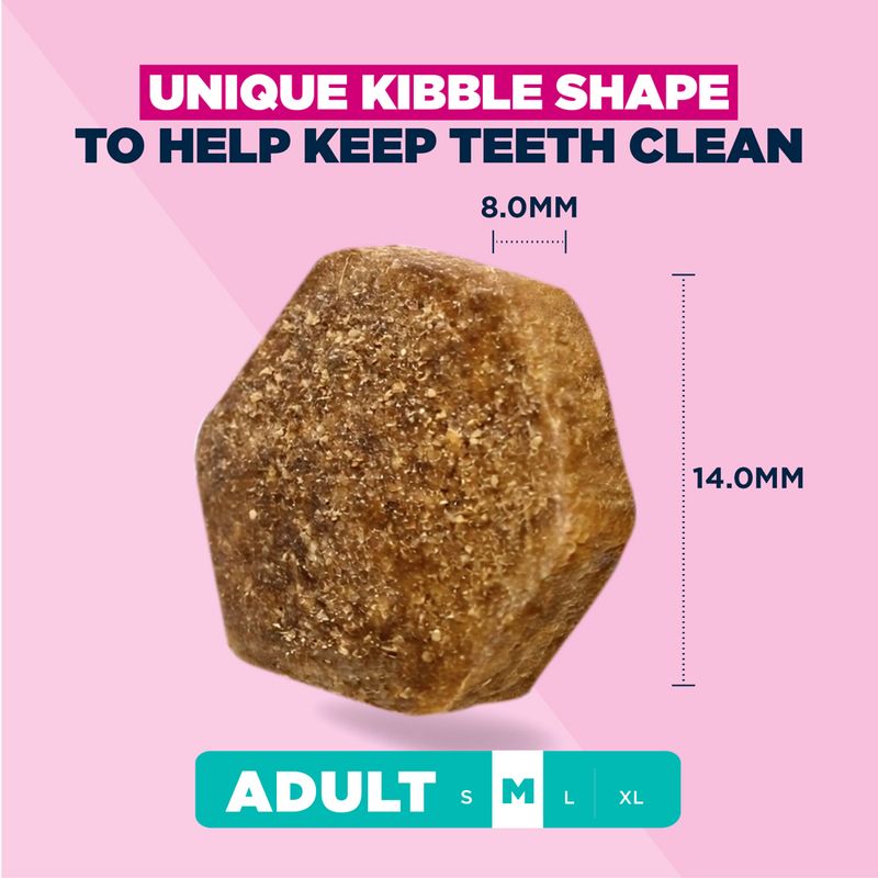 Eukanuba Active Adult Medium Breed Chicken 12kg