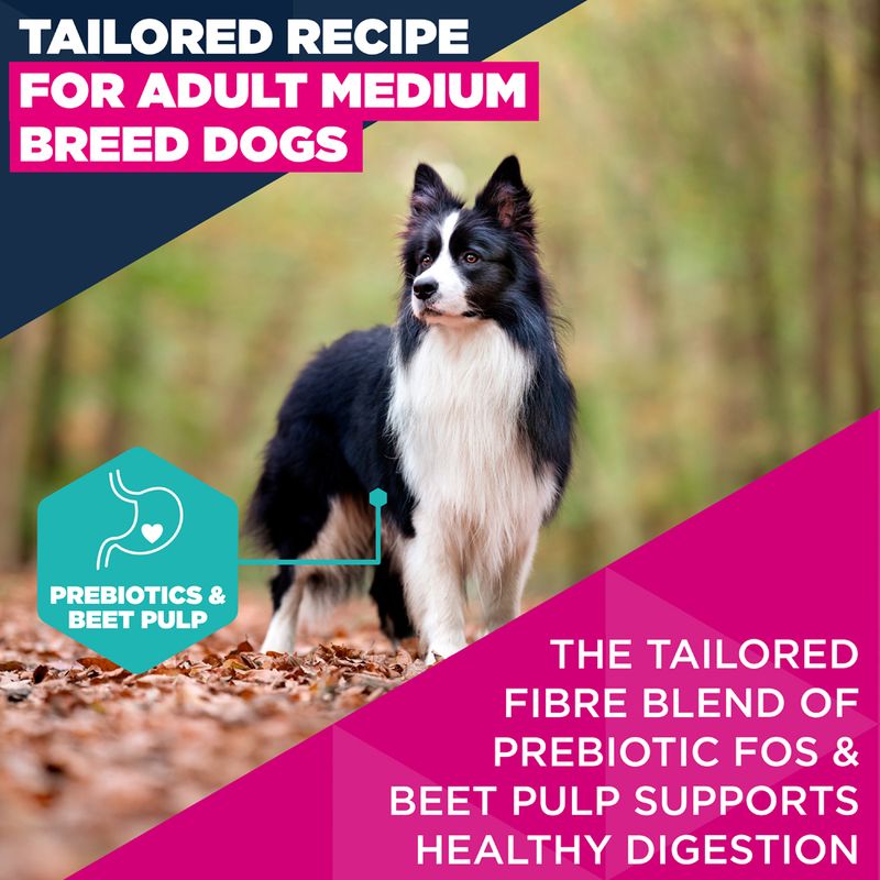 Eukanuba Active Adult Medium Breed Chicken 12kg