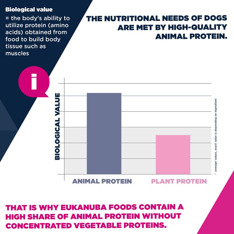 Eukanuba Active Adult Medium Breed Chicken 12kg