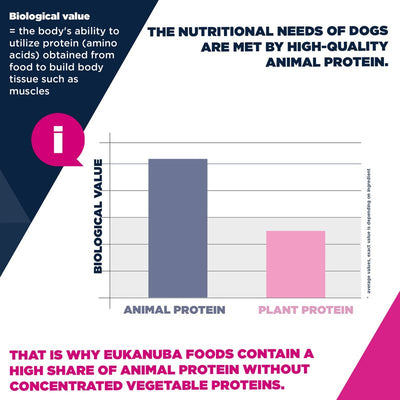 Eukanuba Active Adult Medium Breed Chicken 12kg