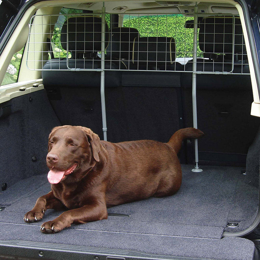 Rosewood Dog Car Guard