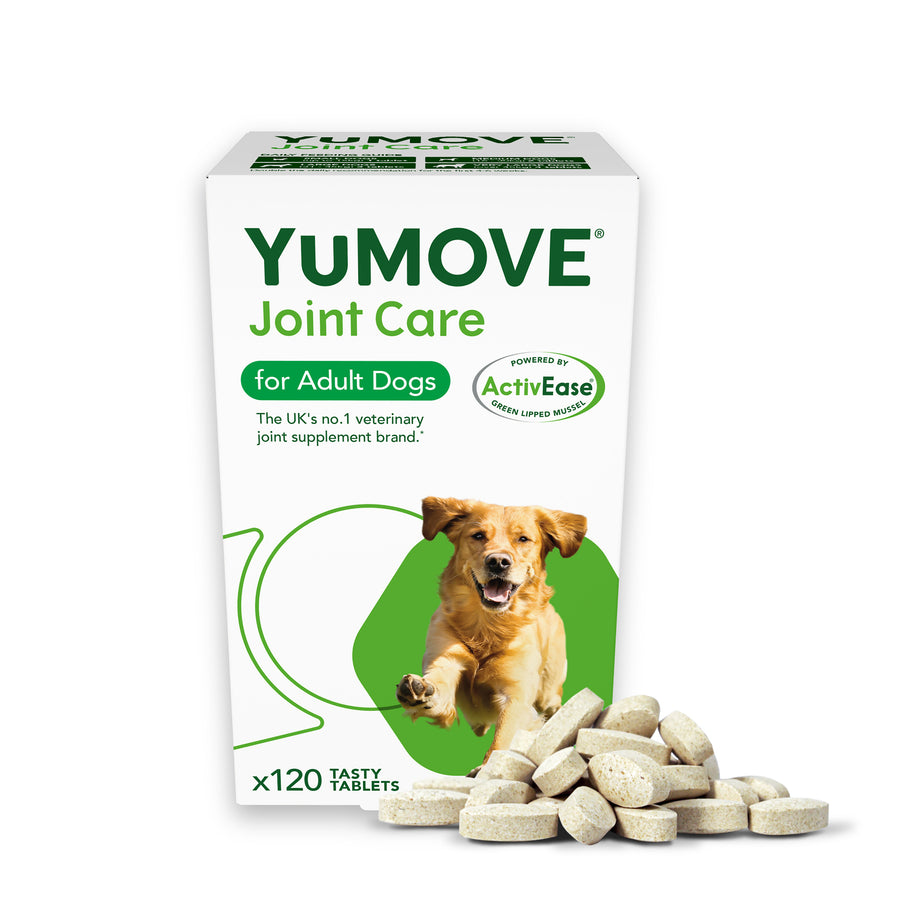 Lintbells Yumove Tablets 120 Tablets