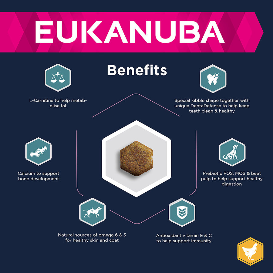 Eukanuba Active Adult Small Breed Chicken 12kg