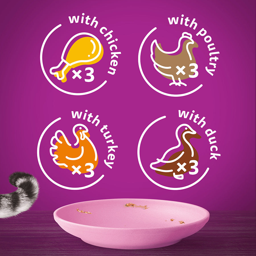 WHISKAS Kitten Pouches Poultry Feasts In Jelly 12x85g