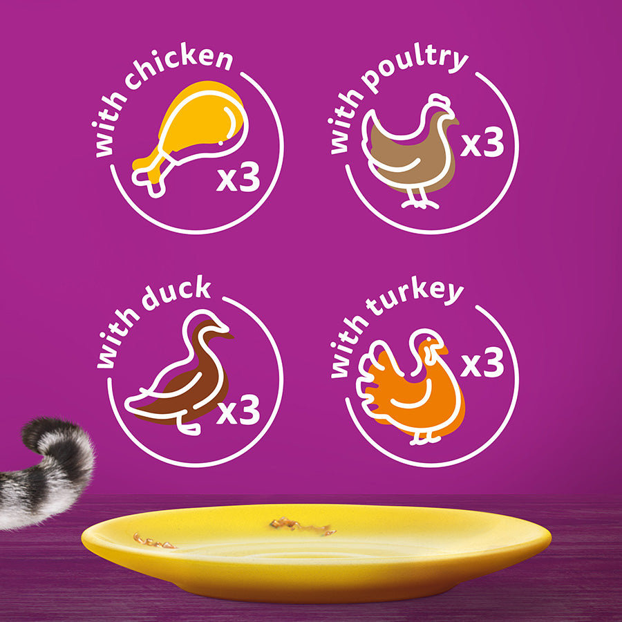 Whiskas Adult 1+ Poultry Feasts in Jelly Pouches 12x85g